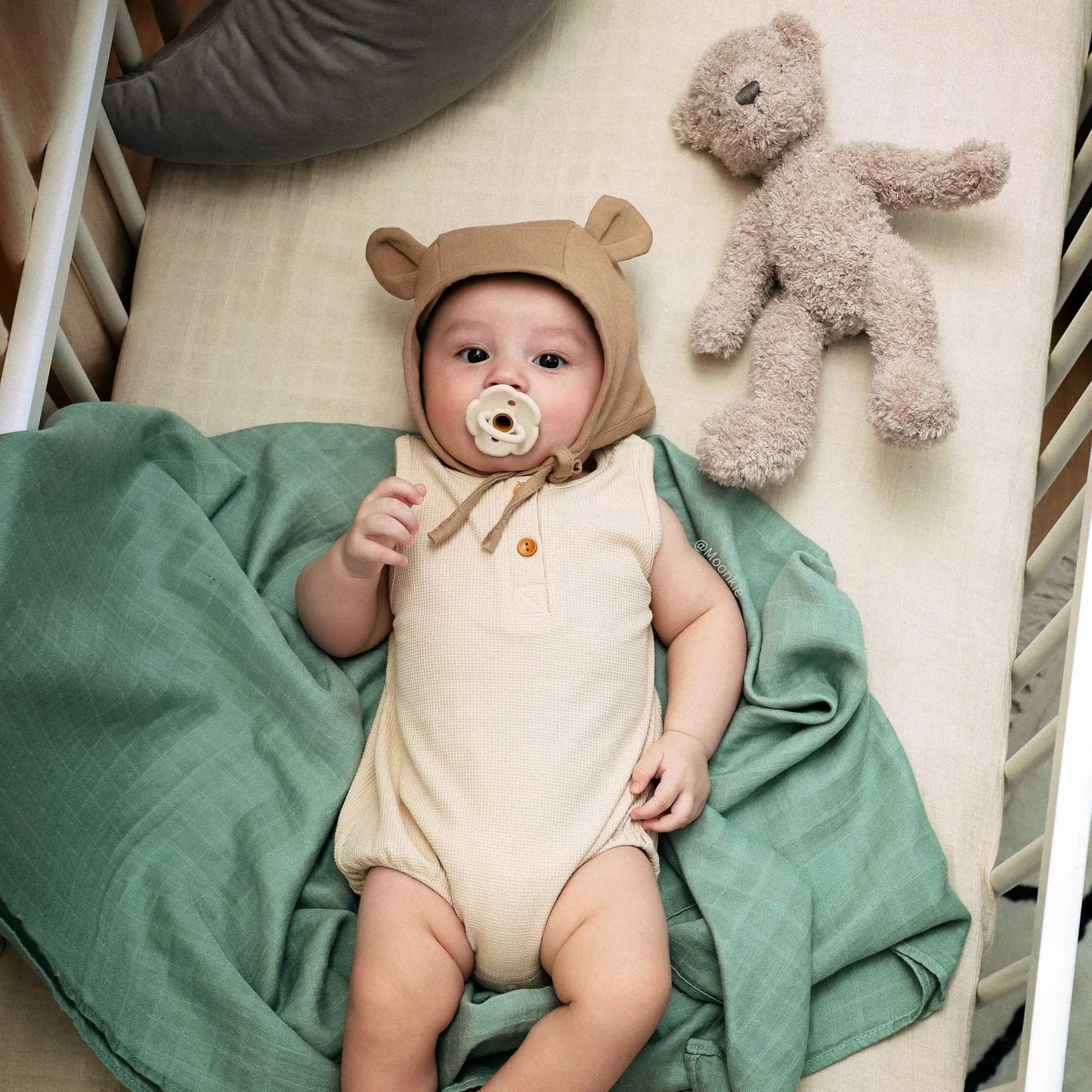 Anemone Silikon Schnuller (Tan) - Thibs Baby Club